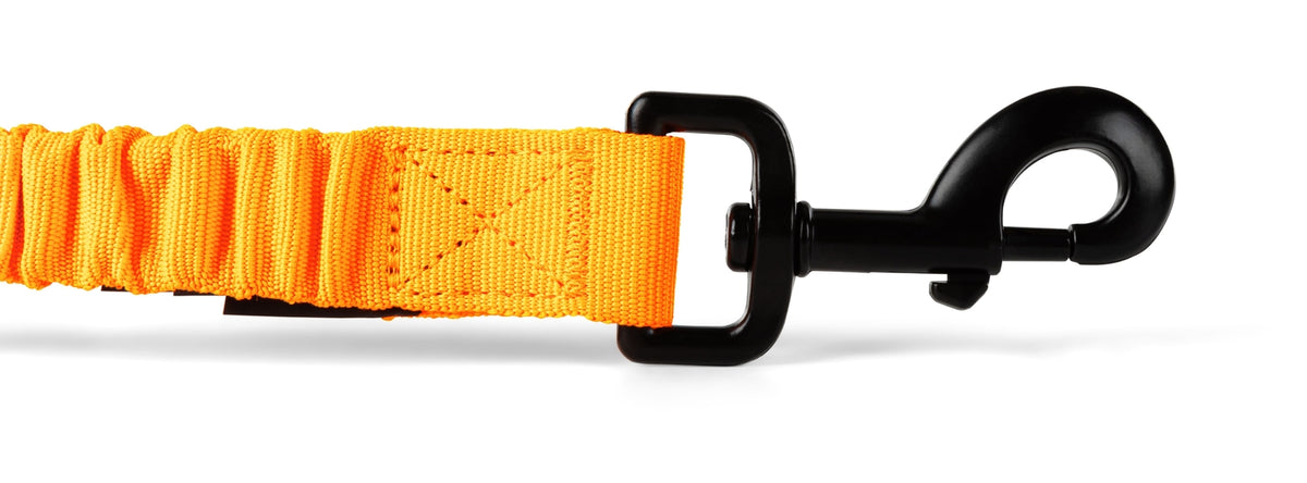 5.11 Tactical Series Laisse pour chien Mission Ready Mod